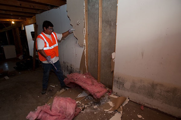 Why Killing Mold Is Not Enough For An Insurance Claim