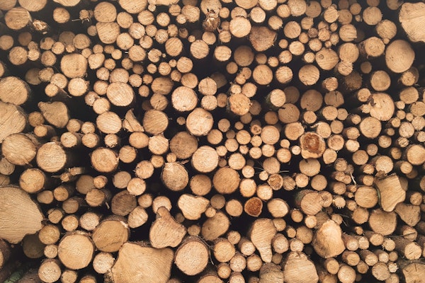 Washington State Fines Lumber Company $126,000 for Multiple Safety Violations
