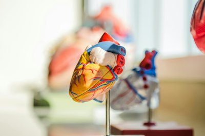 Iowa Supreme Court Revises Interpretation of Vascular Injury Compensation - Insurance Claims News Article