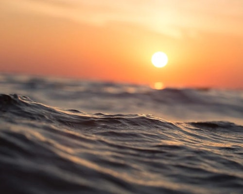 Record-High Sea Surface Temperatures Alarm Ocean Scientists Globally
