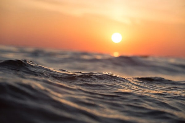 Record-High Sea Surface Temperatures Alarm Ocean Scientists Globally