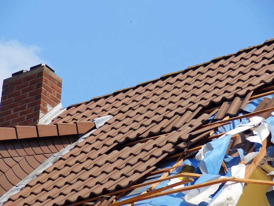 Florida Appeals Court Rebukes Citizens Property Insurance Over Roof Claim Denial