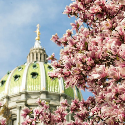 Pennsylvania Introduces Regulatory Changes for Surplus Line Licensees and Policyholder Incentives