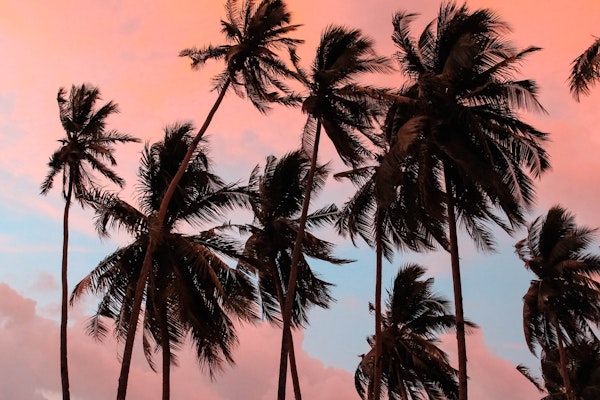 Tropical Storm Isaias Strengthens As It Hits Puerto Rico; Most Of Florida In Forecast Path