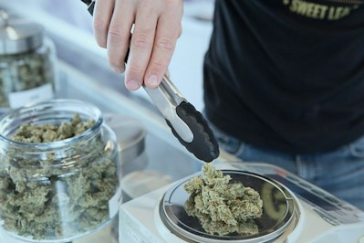 Resource-Draining Cannabis Lawsuits: Civil Litigation Can Be Expensive - Insurance Claims News Article