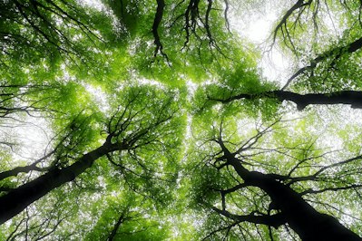 Managing Climate Change Risk With Modeling - Insurance Claims News Article