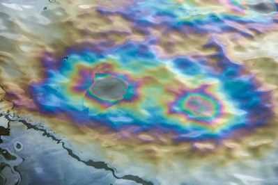 U.S. Probing Hundreds Of Gulf Oil Spill Reports After Hurricane Ida - Insurance Claims News Article