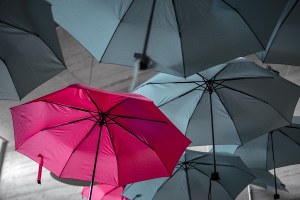 Best Of Both: Bundling Parametric, Indemnity