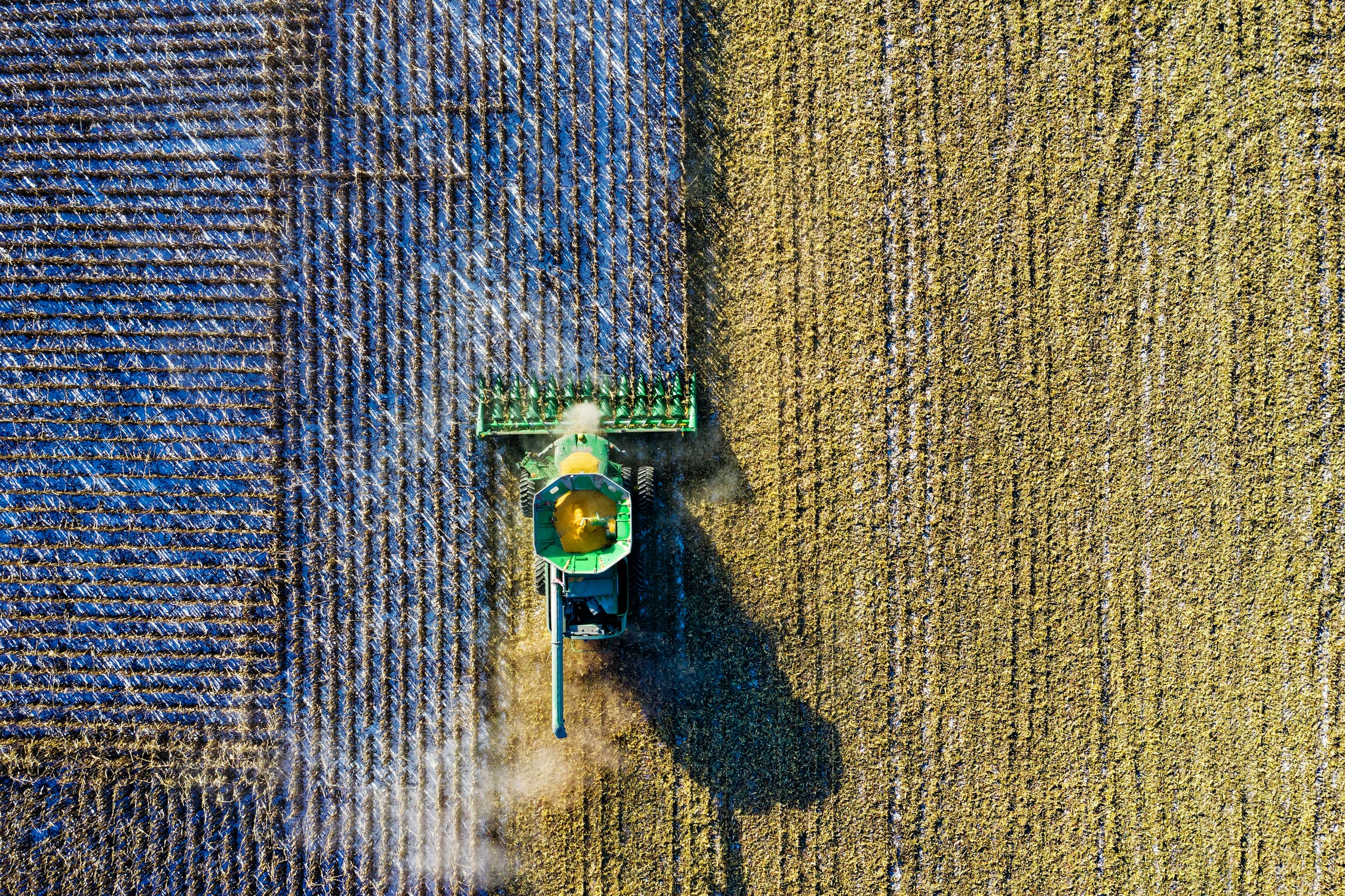 McKinsey: Farmers Turn to AI as Weather, Costs Strain Agriculture