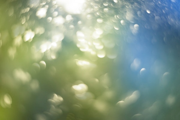 Greenwashing: The Effects Of Ecological Virtue Signaling