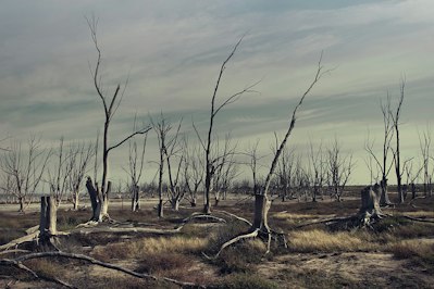 Insurers Have A Huge Role In Addressing Water-Related Risks - Insurance Claims News Article