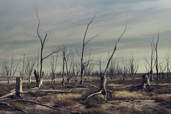 Insurers Have A Huge Role In Addressing Water-Related Risks