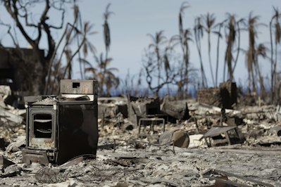 Hawaii Property Owners Challenged in Unprecedented Wildfire Lawsuit - Insurance Claims News Article