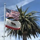 California’s Tort Wars Prevalent In Legislative Sessions