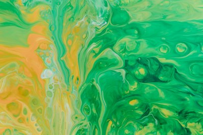 Addressing The Risk Of Greenwashing Claims - Insurance Claims News Article