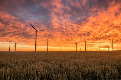 Willis Towers Watson Establishes Net Zero Commitment - Insurance Claims News Article
