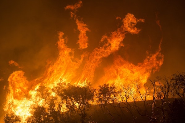 Over 300 Homes Destroyed In Colorado Wildfires