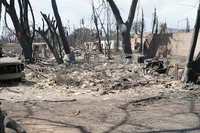 Class-action Lawsuit Alleges Hawaiian Electric’s Negligence in Deadly Wildfire - Insurance Claims News Article