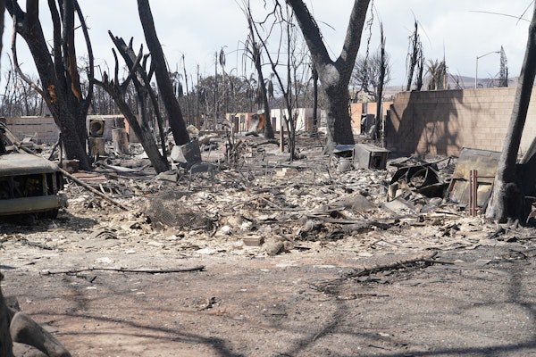 Class-action Lawsuit Alleges Hawaiian Electric’s Negligence in Deadly Wildfire