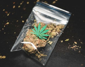 The Cannabis Conundrum: How Federal Policy Hampers Workers’ Comp’s Reimbursement for Medical Use - Insurance Claims News Article