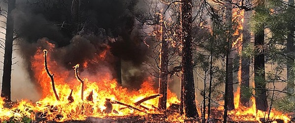 Arizona Sheriff’s Office: Flagstaff-Area Wildfire Burned 30 Homes (The Columbian)