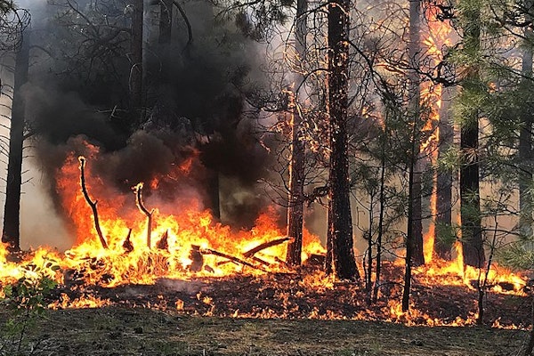 Arizona Sheriff’s Office: Flagstaff-Area Wildfire Burned 30 Homes