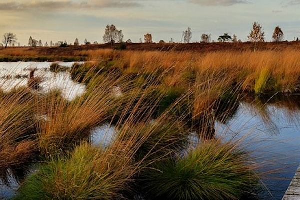 Natural Infrastructure Helps Prevent Natural Catastrophe Damage. Heres 3 Ways Insurers Can Take Advantage