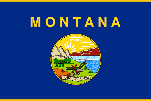 Montana Implements New Law to Regulate Third-Party Litigation Financing