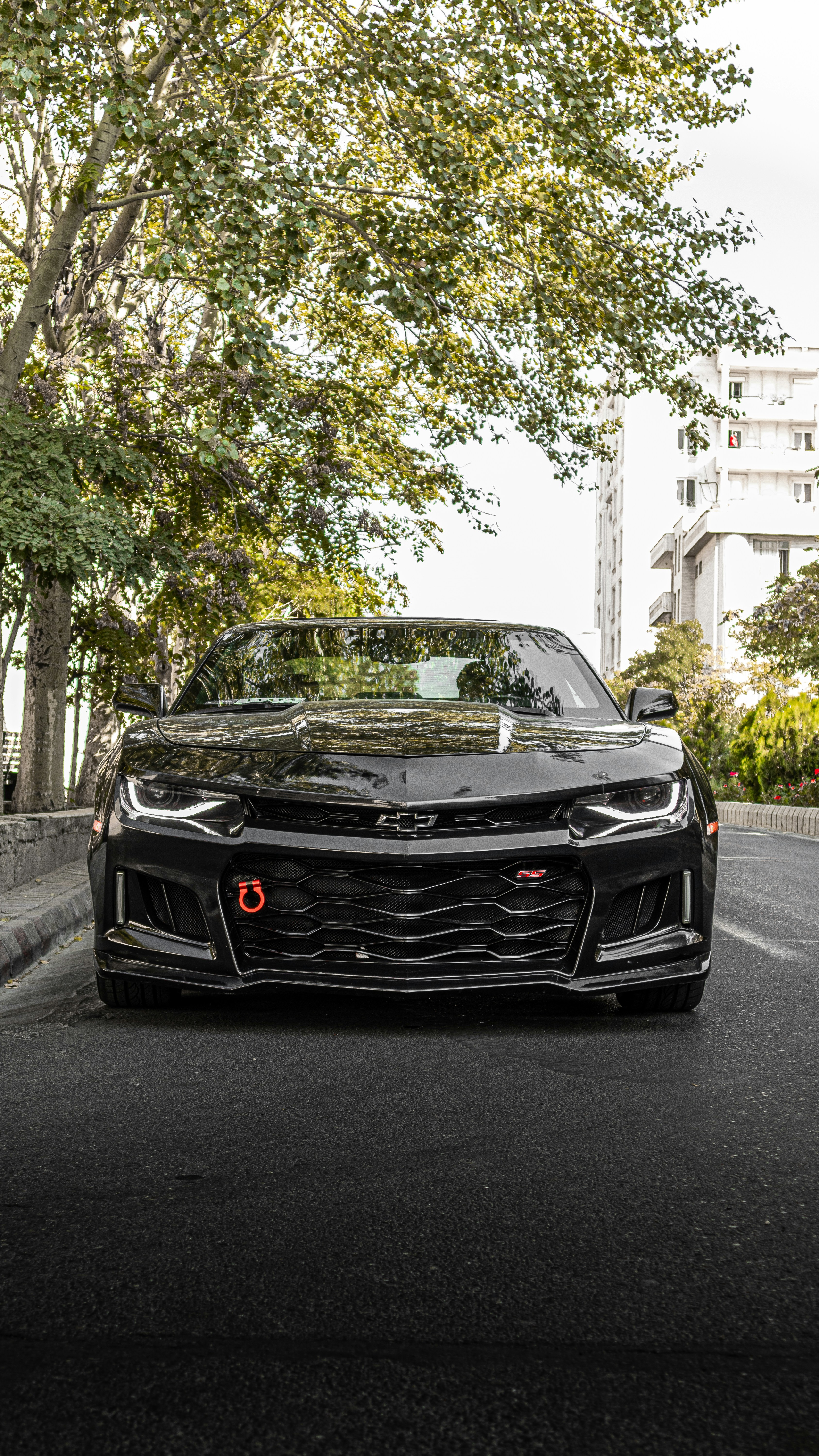 Camaro ZL1 Becomes Top Target for Thieves as Muscle Car Thefts Surge