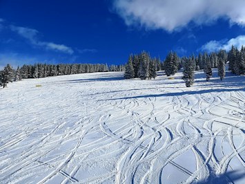 Blizzard Triggers Power Outages and Closures in Oregon and Washington Ski Areas - Insurance Claims News Article