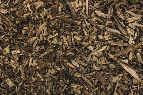 Mulch: An Overlooked Fire Hazard in California’s Landscaping