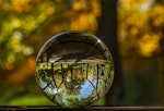 AI Uncertainty in Insurance: Coverage Gaps, Casualty Risks, and E&S Innovations