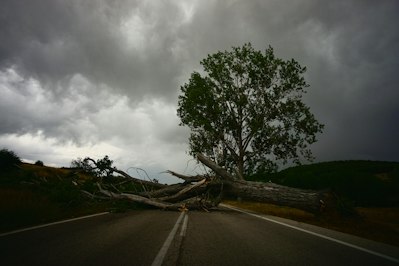 11 Tornadoes Confirmed in Northern Ohio Last Week - Insurance Claims News Article