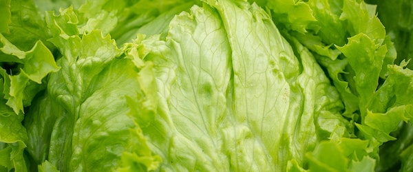 Recall Alert: Bagged Salad Recall Expanded To Include Walmart Products Amid Cyclospora Outbreak (WSBT)
