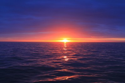 Embracing Adaptation and Resilience for a Sustainable Future - Insurance Claims News Article
