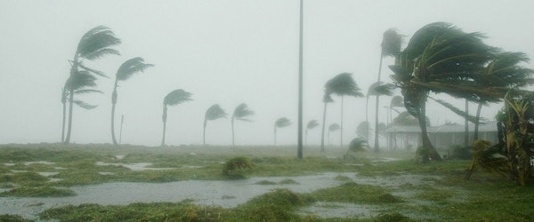 Tropical Storm Elsa is Making Landfall on North Florida’s Gulf Coast (CNN)