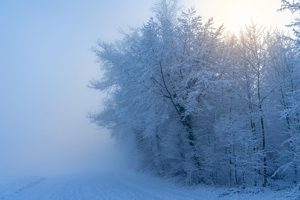 Freezing Fog Contributed To 30-Vehicle Pileup On Washington Interstate