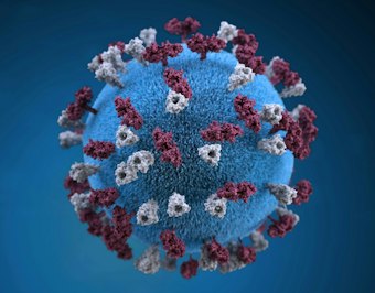 Texas Measles Outbreak Raises Alarms Nationwide as Infections Cross State Lines - Insurance Claims News Article