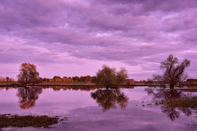 New Jersey Implements Flood Risk Disclosure Law for Real Estate Transactions - Insurance Claims News Article
