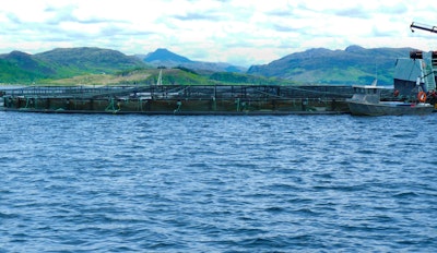 Norwegian Salmon Farms Face Record Fish Mortality Rates Amid Harsh Conditions - Insurance Claims News Article