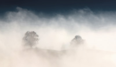 Dense Fog Contributed To Fatal Pileup In Butte Valley, California - Insurance Claims News Article