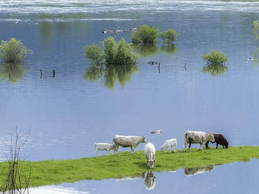 Michigan Dam Failures Force 10,000 To Evacuate And Could Leave One City Under 9 Feet Of Water