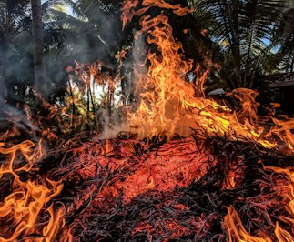 Florida Panhandle Wildfires Burn Thousands Of Acres - Insurance Claims News Article