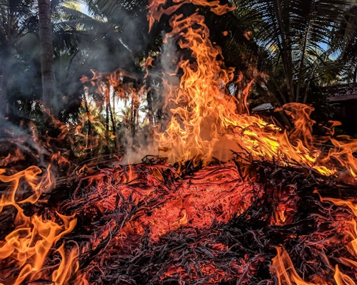 Florida Panhandle Wildfires Burn Thousands Of Acres