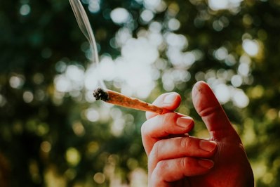 Medical Marijuana Patient Fired for Using Cannabis, Lawsuit Claims - Insurance Claims News Article