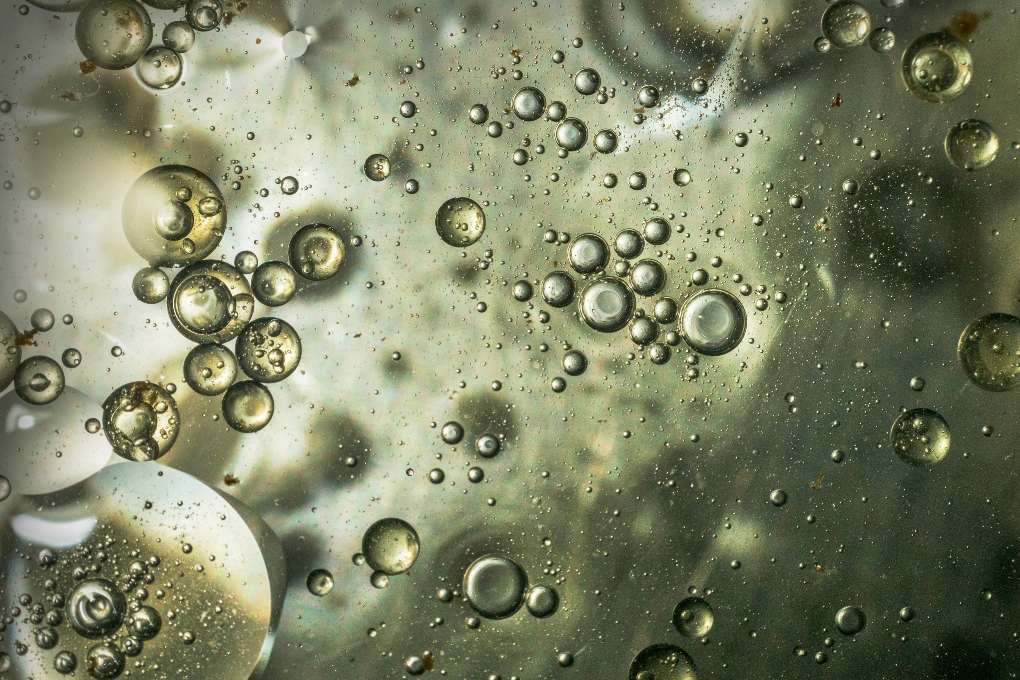 Italian Executives Receive Lengthy Prison Terms for PFAS Pollution