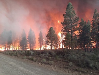 Nearly 300 Buildings Damaged Or Destroyed In New Mexico Wildfires (KRQE)
