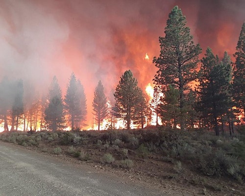 Nearly 300 Buildings Damaged Or Destroyed In New Mexico Wildfires