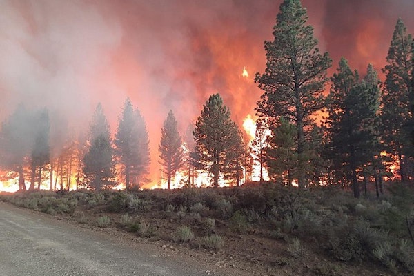 Over 100 California Homes Razed by Wildfires, Some Residents Missing