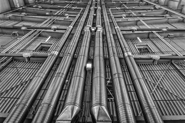 5 Liability Loss Mega Trends